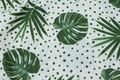 White deko-fabric with green leaves and dots White deko-fabric with green leaves and dots