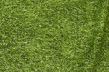 Deko-fabric with grass-motif Deko-fabric with grass-motif