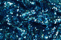 Beautiful turqoise sequins on black mesh Beautiful turqoise sequins on black mesh