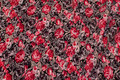 Lightweight dress micropolyester in grey and coral red Lightweight dress micropolyester in grey and coral red