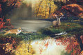 Cotton-jersey with beautiful forrest motifs Cotton-jersey with beautiful forrest motifs