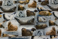 Light grey cotton-jersey with lots of seals Light grey cotton-jersey with lots of seals
