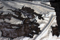 Beautiful sequins-fabric in black and silver Beautiful sequins-fabric in black and silver