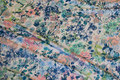 White viscosejersey with soft red and blue flowers White viscosejersey with soft red and blue flowers