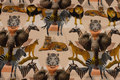 Sand-colored cotton-jersey with wild animals Sand-colored cotton-jersey with wild animals