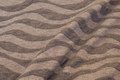 Tiger-striped jersey-knit Tiger-striped jersey-knit