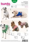 Dog Dog