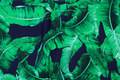Navy cotton-jersey with big green palm-leaves Navy cotton-jersey with big green palm-leaves