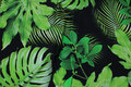 Black cotton-jersey with big green leaves Black cotton-jersey with big green leaves