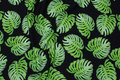 Black cotton-jersey with green philodendron leaves Black cotton-jersey with green philodendron leaves