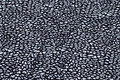 Black viscosejersey with small white pattern Black viscosejersey with small white pattern