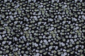 Black viscosejersey with armygrønne dots Black viscosejersey with armygrønne dots