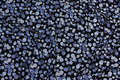 Black viscosejersey with blue dots Black viscosejersey with blue dots