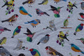 Grey-speckled lightweight sweatshirt fabric with birds Grey-speckled lightweight sweatshirt fabric with birds