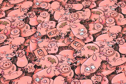 Coral-color cotton-jersey with lots of pigs
