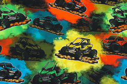Multicolored cotton-jersey with cool cars