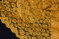 Brass-yellow dress-lace-fabric with scallop edge in both sides