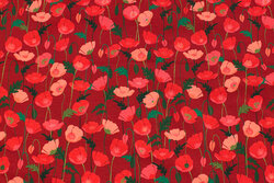 Winter red cotton-jersey with poppies