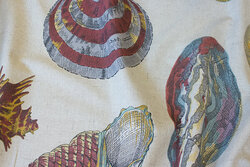 Linen-colored cotton and and polyester with big conchs