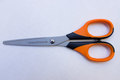 Titanium coated scissors 16.5 cm