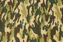 Medium-thickness camouflage fabric in light colors