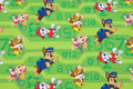 Green cotton-jersey with Paw Patrol