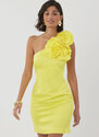 Dress in two lengths with detachable 3d flowers