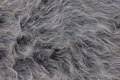 Long-haired fake fur in grey nuances
