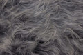 Long-haired fake fur in grey nuances