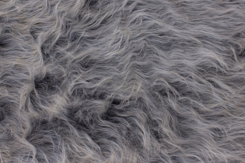 Blænding Bred rækkevidde Wow Sølvræv - Langhåret pels i grå nuancer | FJØLNER