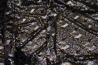 Beautiful sequins-fabric with peacock-pattern on black base of mesh