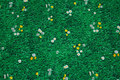 Green patchwork-cotton with grass, small daisies
