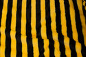 Supersoft micro-teddy, across-striped in black and yellow