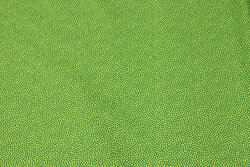 Light green cotton with grass green micro-dot