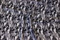 Light cotton with camouflage-pattern in grey nuances