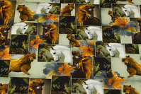 Cotton-jersey with horses