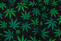 Black cotton-jersey with 3-7 cm cannabis leaves