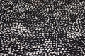 Black polyester-chiffon with white pattern