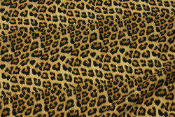 Golden cotton-jersey with animal-print