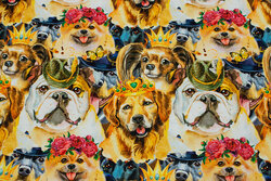 Cotton-jersey with fun dogs