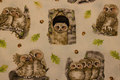 Naturalistic cute owls on white base 